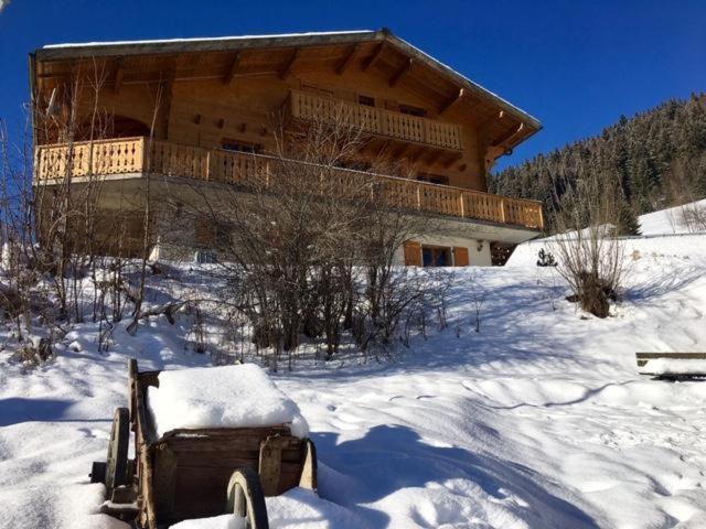 Chalet Nicole La Cote d'Arbroz 외부 사진
